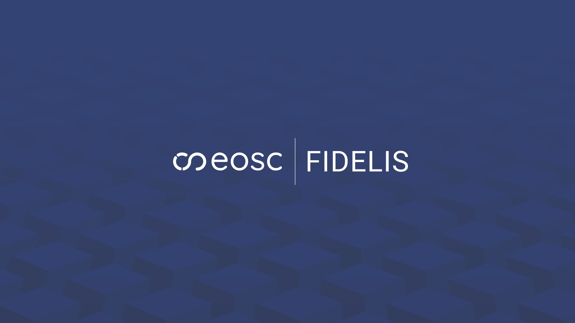 Fidelis background image with logo 