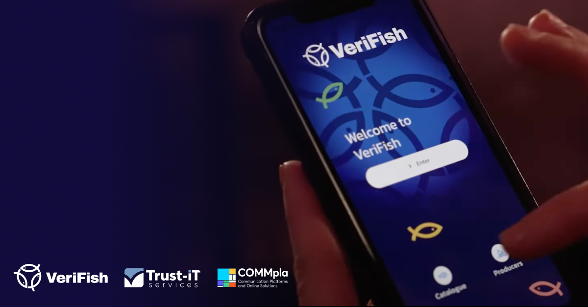 verifish banner euronews