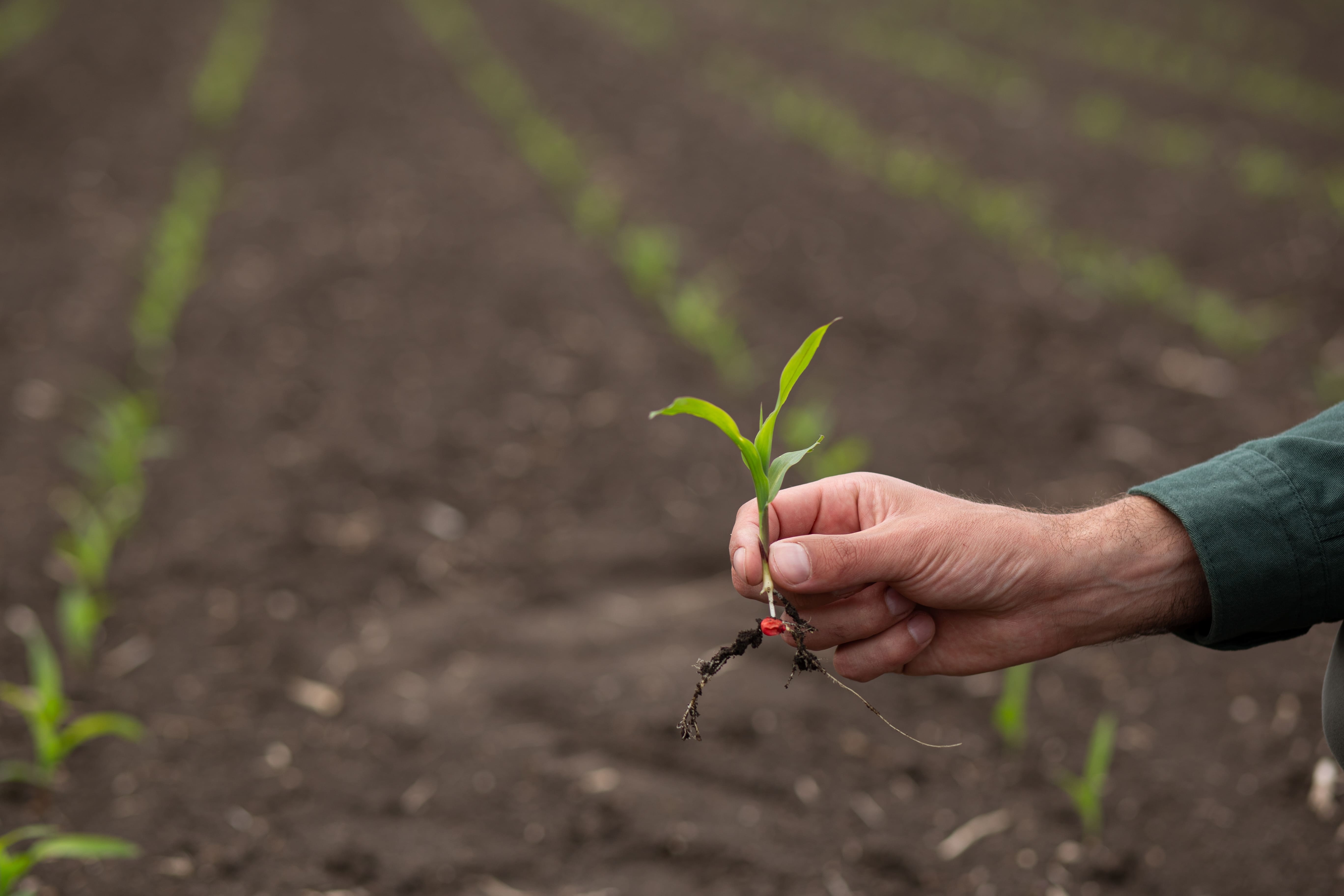 World Rural Development Day