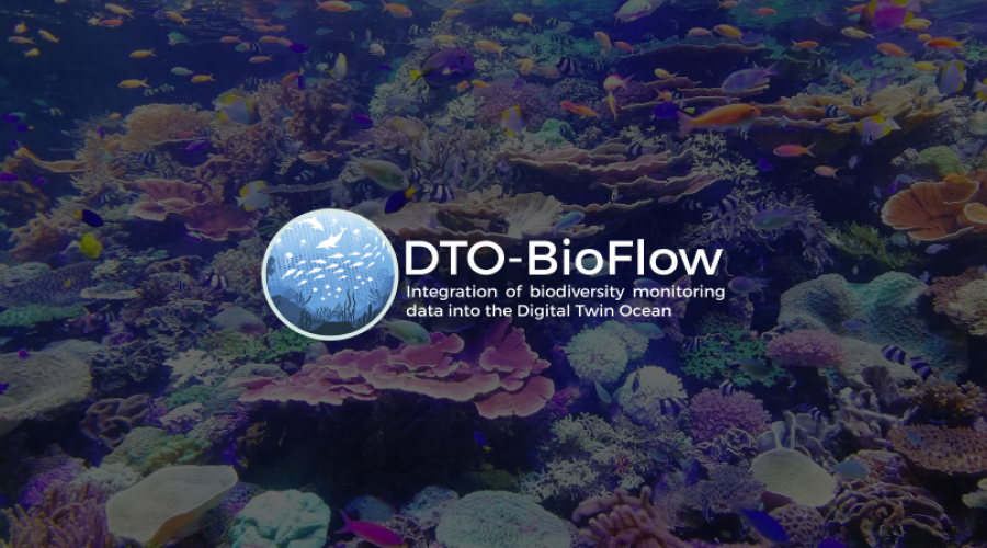 DTO-BioFlow news