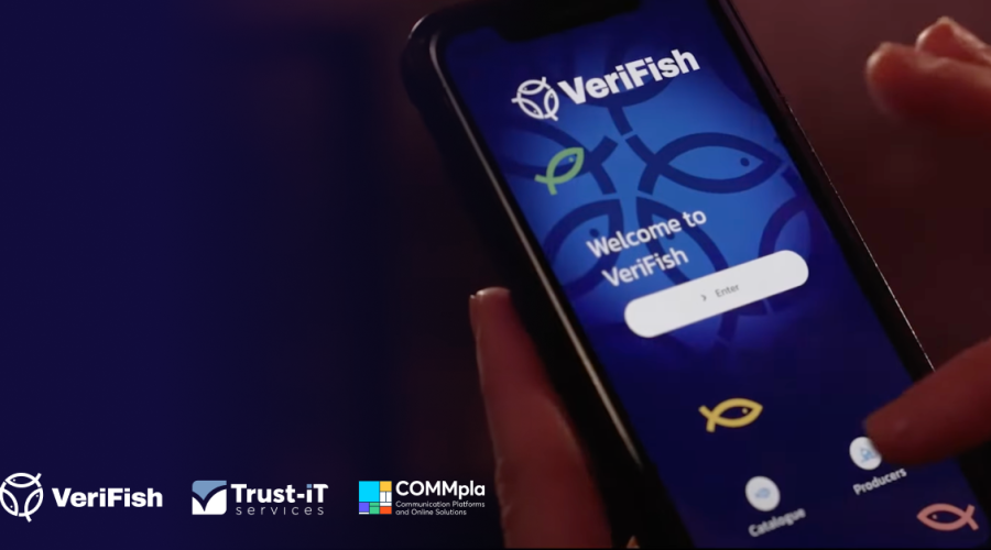 verifish banner euronews