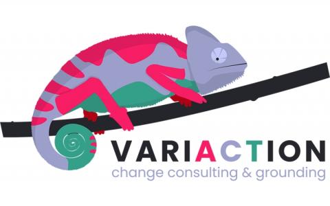 variaction