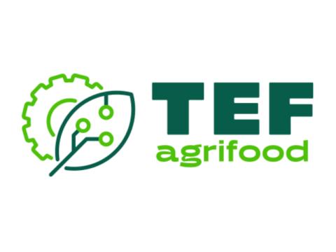 agrifoodTEF logo