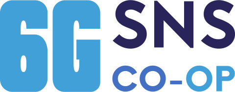 6G SNS CO-OP